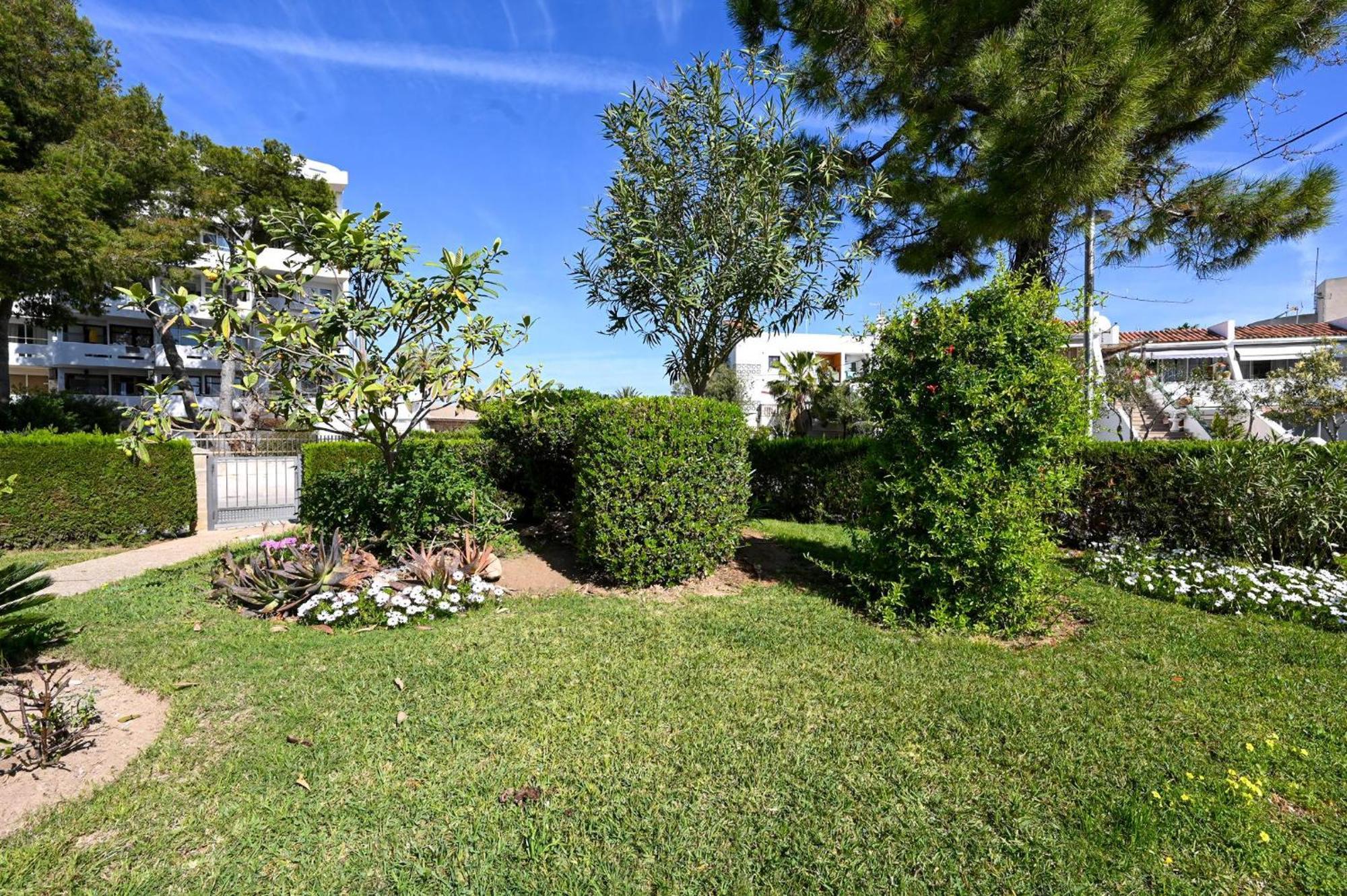 Apartment Mar De Plata In Nur 5 Minuten Vom Alcúdia